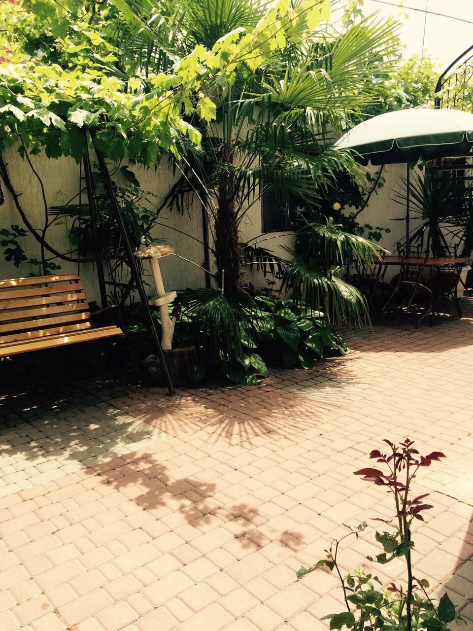 Гостиница Белая магнолия Алушта