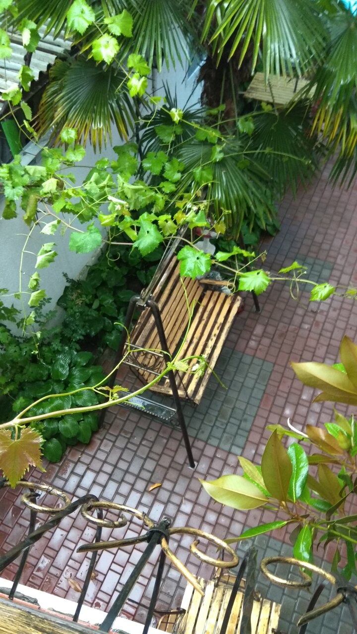 Гостиница Белая магнолия Алушта-21