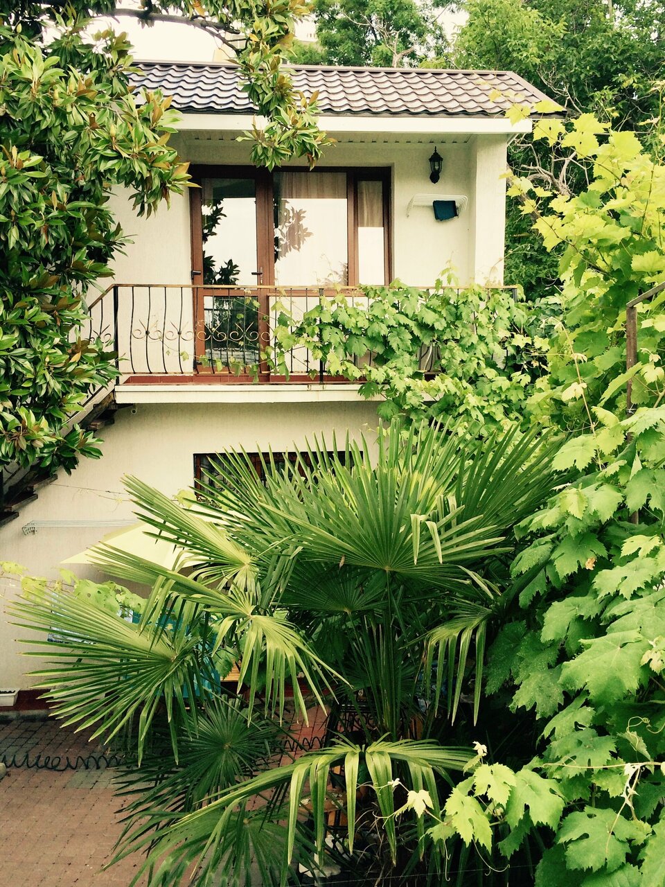 Гостиница Белая магнолия Алушта-15