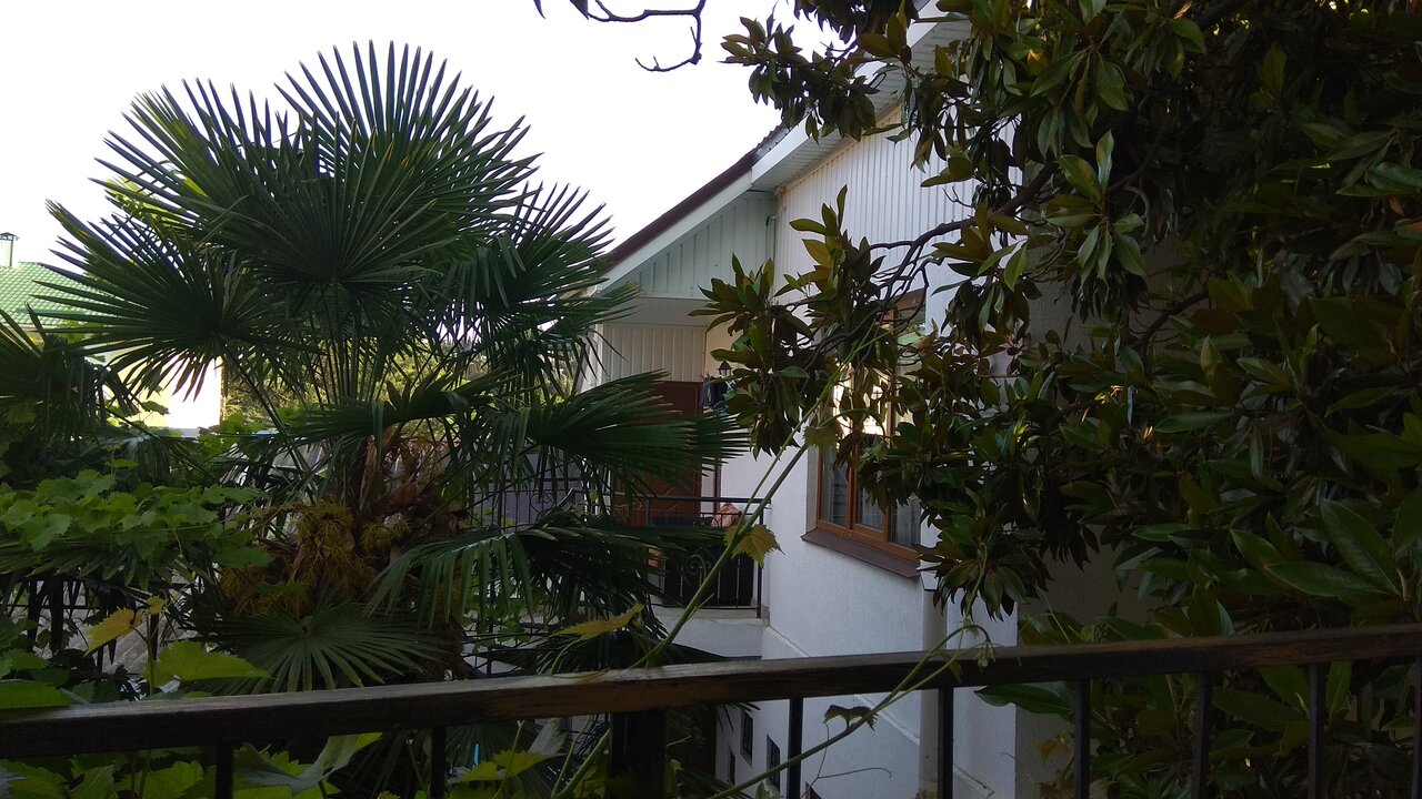 Гостиница Белая магнолия Алушта-24