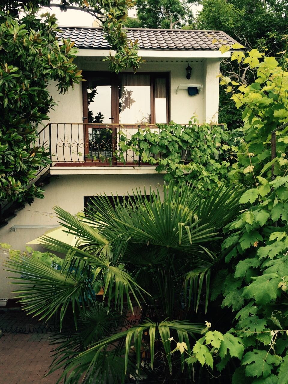 Гостиница Белая магнолия Алушта-4