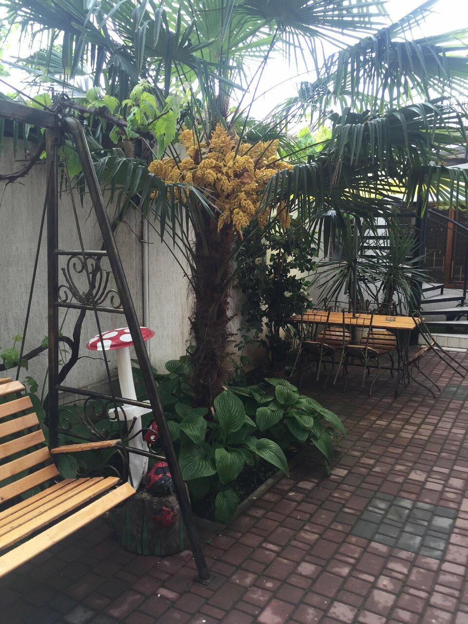 Гостиница Белая магнолия Алушта