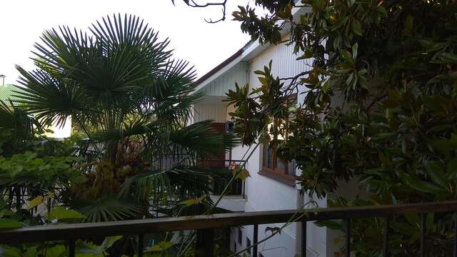 Гостиница Белая магнолия Алушта-23