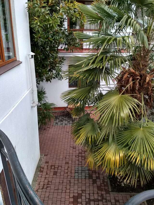 Гостиница Белая магнолия Алушта-18